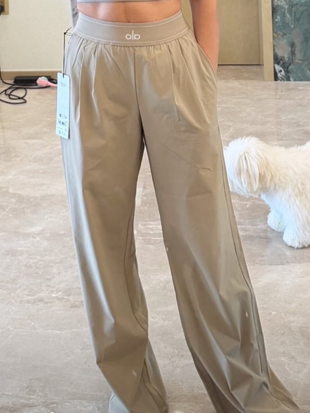 🎏ALO Yoga Suit Up Trouser Gravel Color（Regular）📔Wide Leg High Rise
